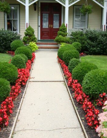 Arbor View House Bed and Breakfast