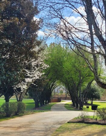 Pleasanton Courtyard Bed and Breakfast