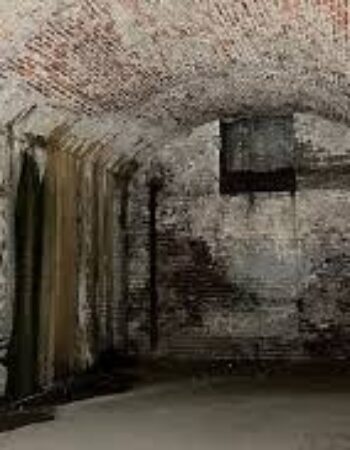 Savannah Slavery to Freedom Guided History tour