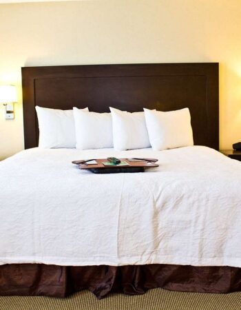 Hampton Inn & Suites Boston Crosstown Center