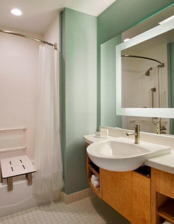 SpringHill Suites Houston Downtown / Convention Center