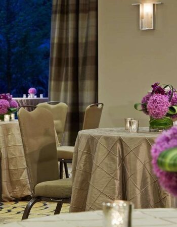 Hyatt Regency Atlanta Perimeter at Villa Christina