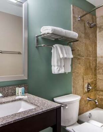 Clarion Inn & Suites Atlanta Downtown