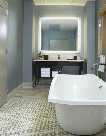 Hyatt Regency Atlanta Perimeter at Villa Christina