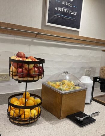 Hampton Inn Chicago-Midway Airport