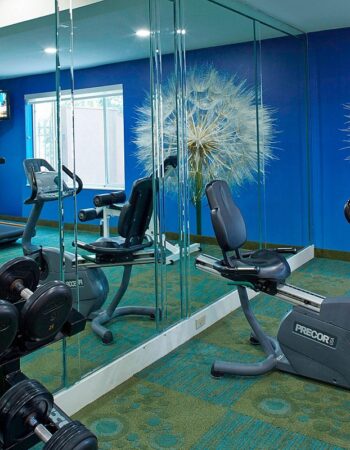 SpringHill Suites by Marriott Atlanta Six Flags