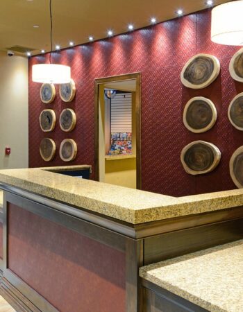 Marriott Denver South at Park Meadows