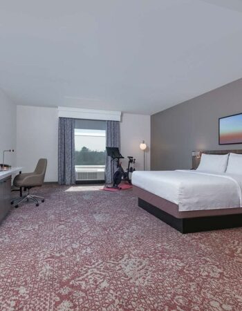 Hilton Garden Inn Dallas / Arlington