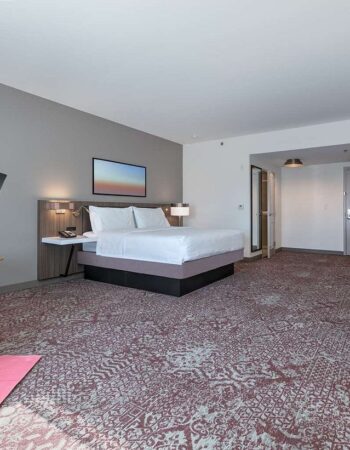 Hilton Garden Inn Dallas / Arlington