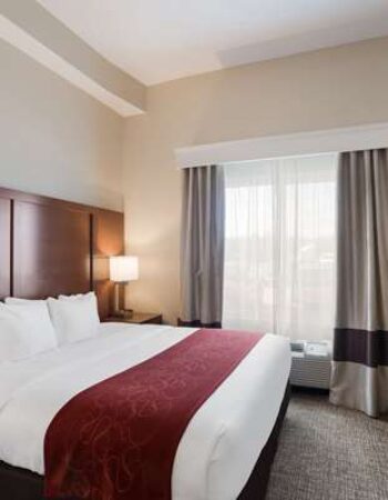 Comfort Suites Suffolk-Chesapeake