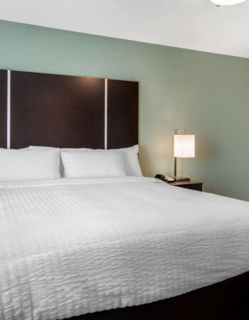 Clarion Inn & Suites Atlanta Downtown