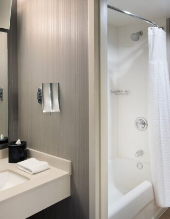 Courtyard by Marriott Chicago Magnificent Mile