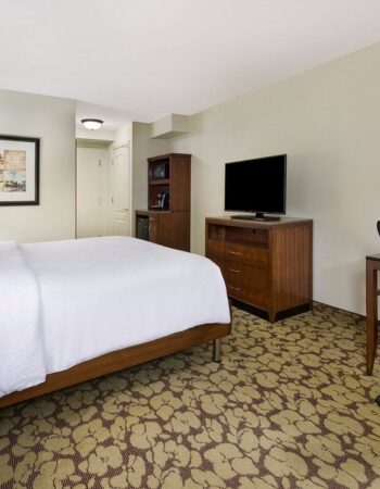 Hilton Garden Inn Atlanta North / Alpharetta