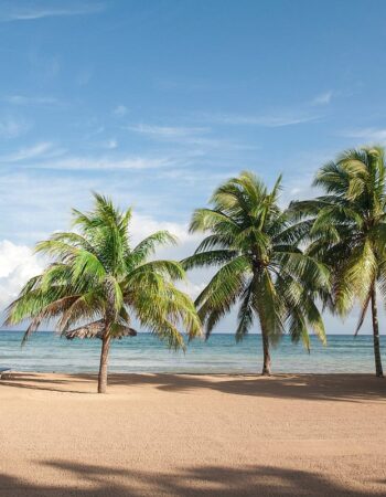 Half Moon Resort, Montego Bay
