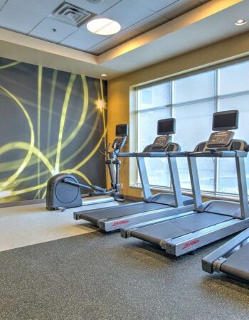 Hilton Garden Inn Dallas / Arlington