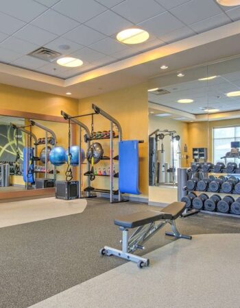 Hilton Garden Inn Dallas / Arlington