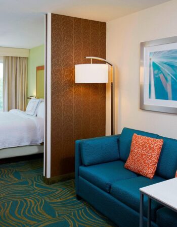 SpringHill Suites by Marriott Atlanta Six Flags