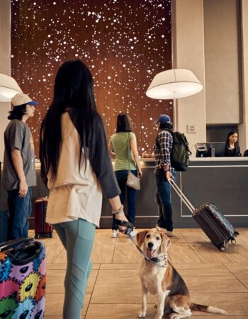 Embassy Suites by Hilton Los Angeles Downey