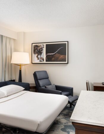 DoubleTree by Hilton Houston Medical Center Hotel & Suites