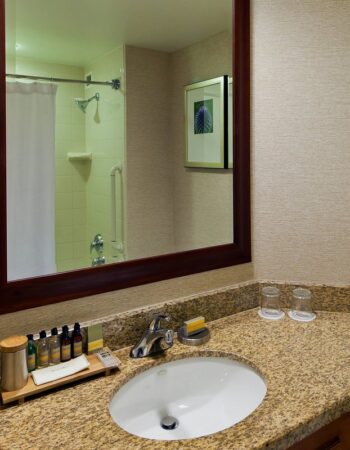 Marriott Denver South at Park Meadows