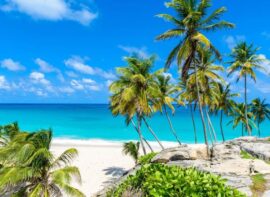 Caribbean