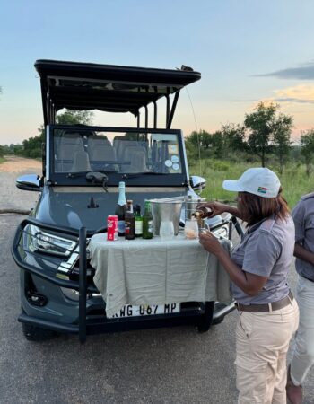 Kruger Shalati – Train on the Bridge & Garden Suites
