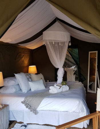 Kruger Untamed Tshokwane River Camp