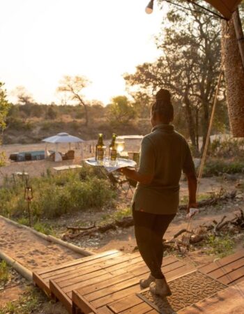 Kruger Untamed Tshokwane River Camp