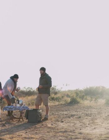 Kruger Untamed Tshokwane River Camp