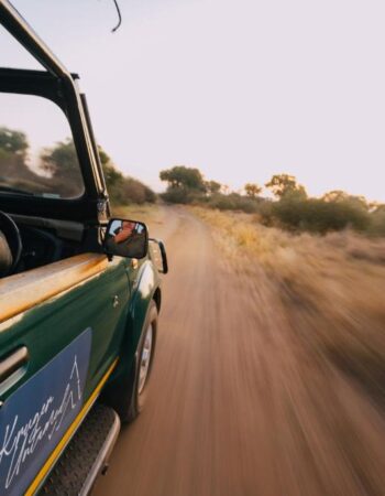 Kruger Untamed Tshokwane River Camp