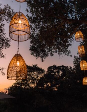 Kruger Untamed Tshokwane River Camp