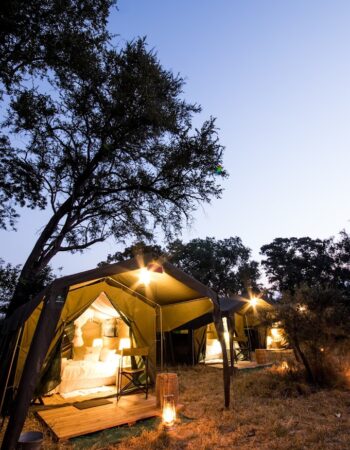 Kruger Untamed Tshokwane River Camp
