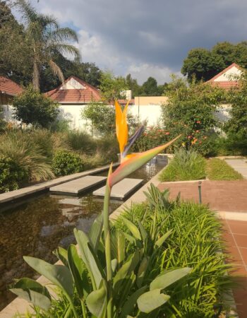 Sanctuary Mandela, Hotel, South Africa