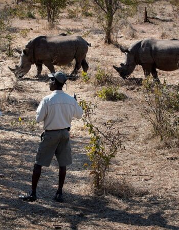 Thorntree River Lodge, Victoria Falls