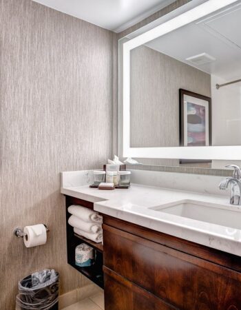 Embassy Suites by Hilton Orlando Florida International Drive Convention Center