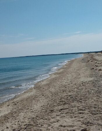 Narragansett House, B&B, Martha’s Vineyard