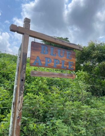 Blue Apple Beach, Hotel, Colombia