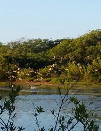 Combate Beach Resort