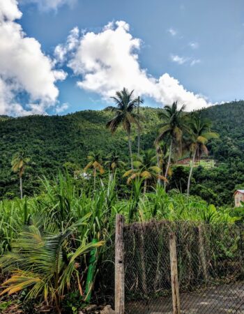 Callwood Rum Distillery