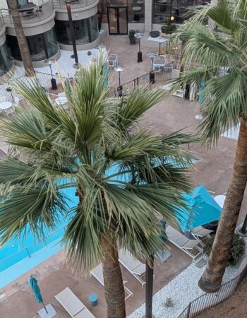 Embassy Suites by Hilton Phoenix Biltmore