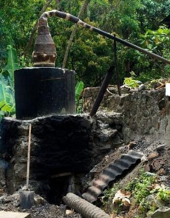 Callwood Rum Distillery