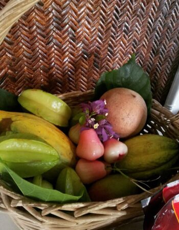 Fond Doux Eco Resort, St. Lucia