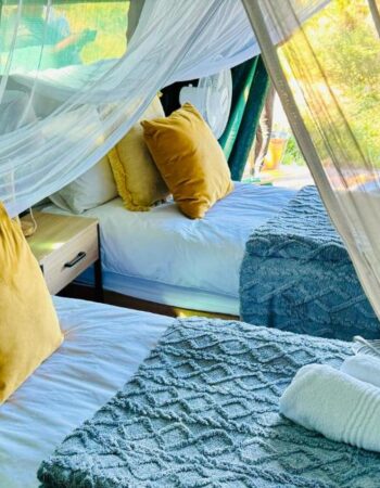 Kruger Untamed Tshokwane River Camp