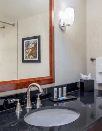 Embassy Suites by Hilton Boston Waltham