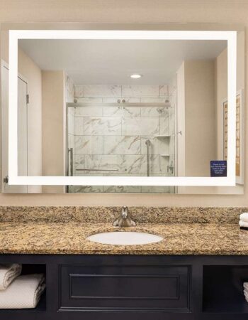 Embassy Suites by Hilton Atlanta Buckhead