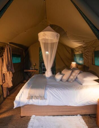 Kruger Untamed Tshokwane River Camp
