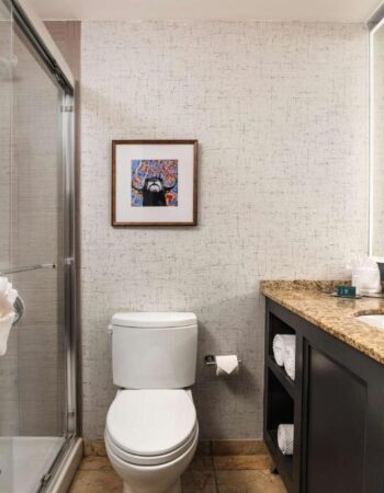 DoubleTree Suites by Hilton Austin Downtown Capitol