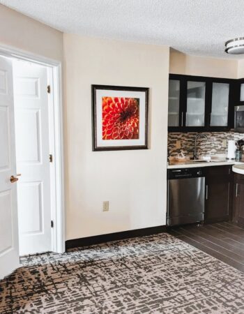 Staybridge Suites Indianapolis-Fishers, an IHG Hotel