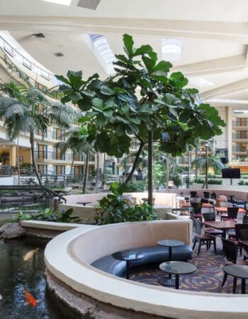 Embassy Suites by Hilton Phoenix Biltmore
