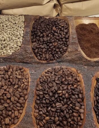 Mofer Coffee